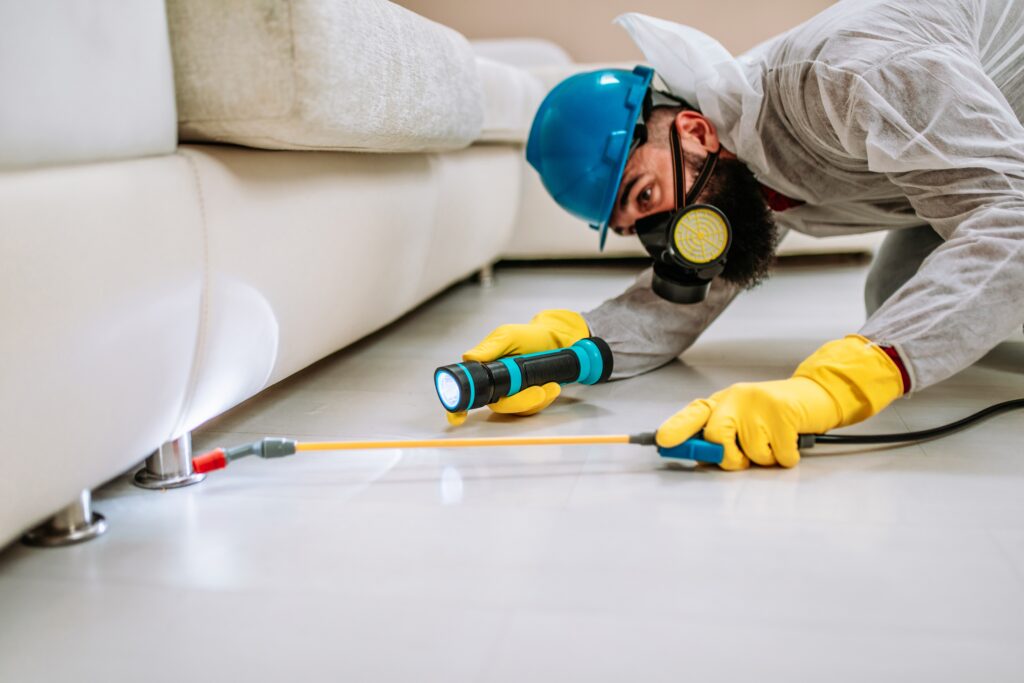 Newark Termite Control