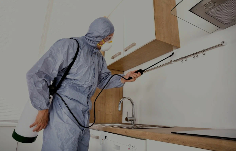 Suisun City pest managment